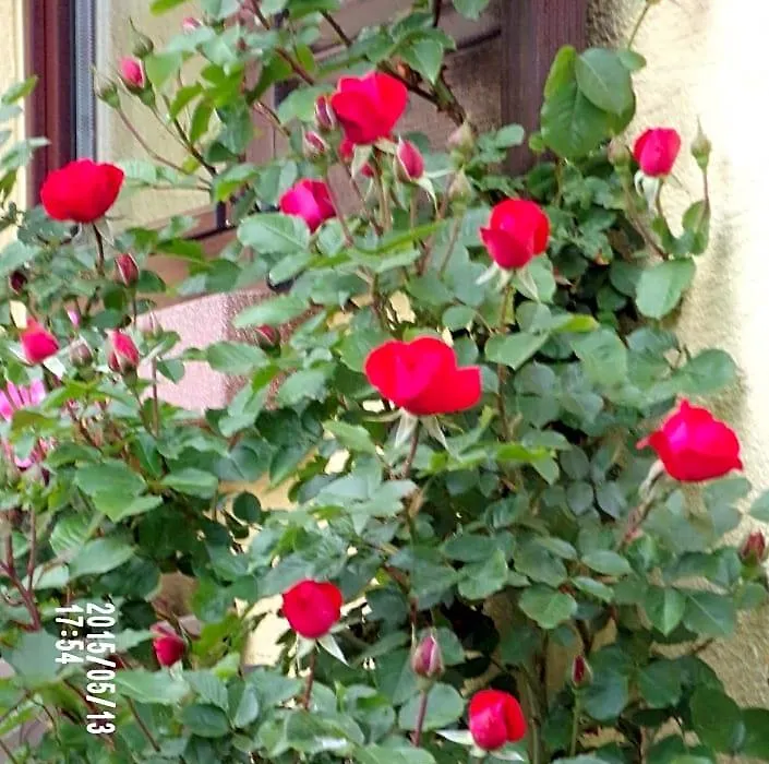Chambres D'hotes Du Vignoble-1